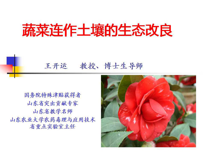 蔬菜连作土壤的生态改良
