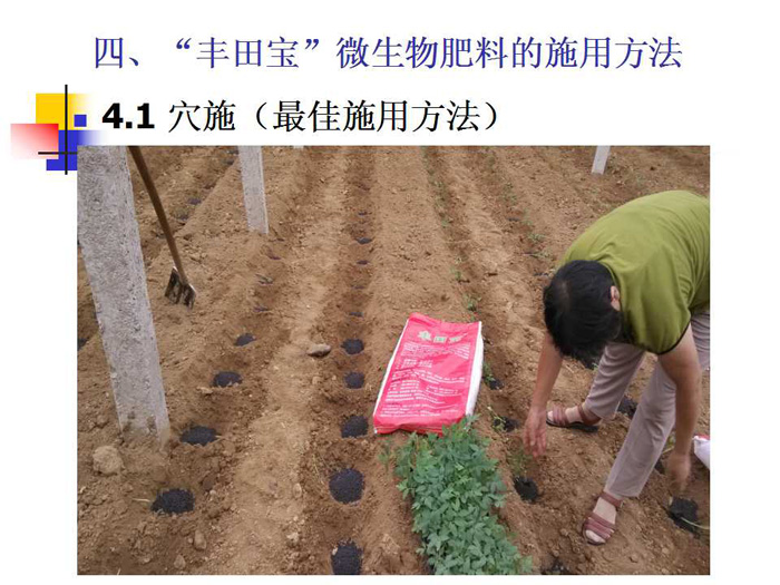 蔬菜连作土壤的生态改良
