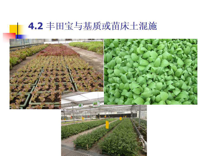 蔬菜连作土壤的生态改良