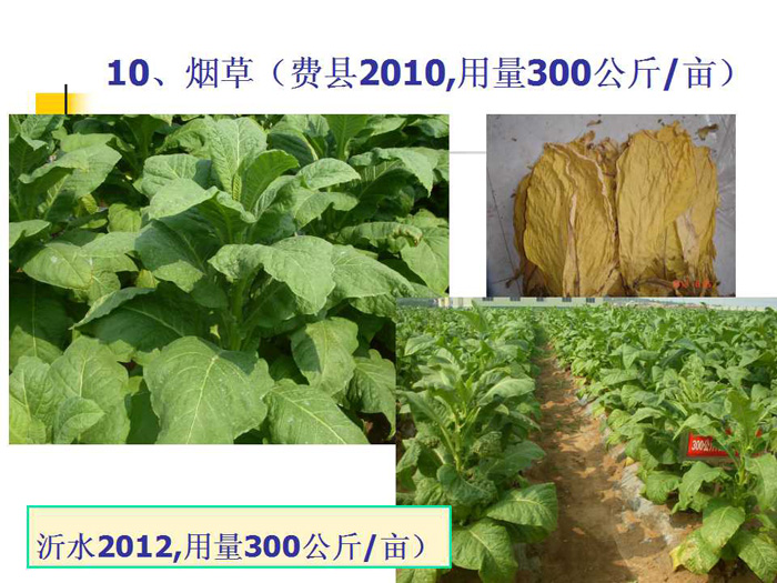 蔬菜连作土壤的生态改良