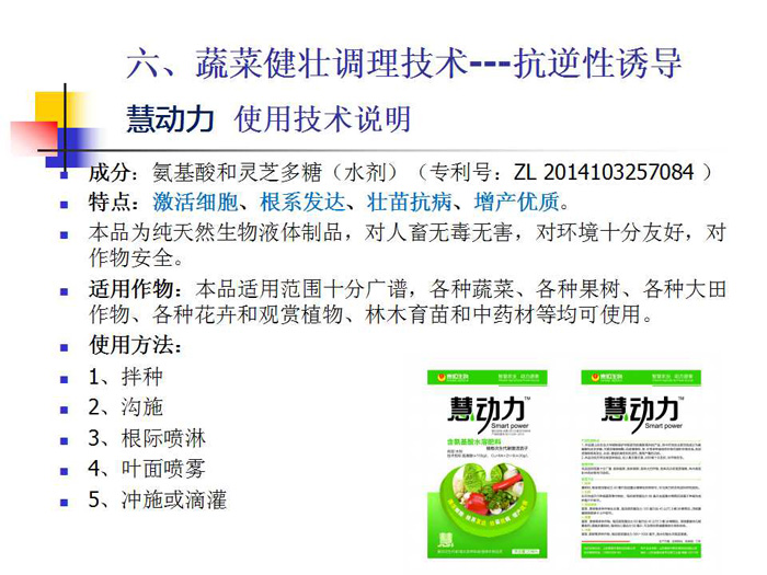 蔬菜连作土壤的生态改良