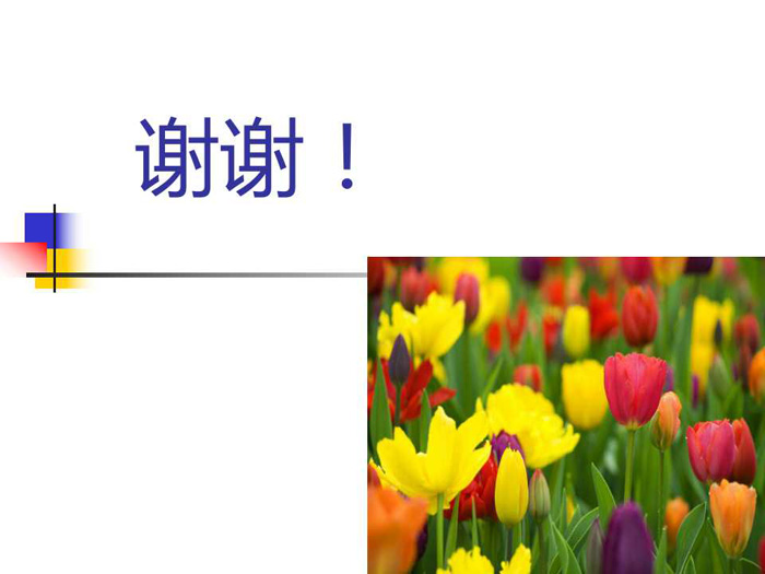 蔬菜连作土壤的生态改良